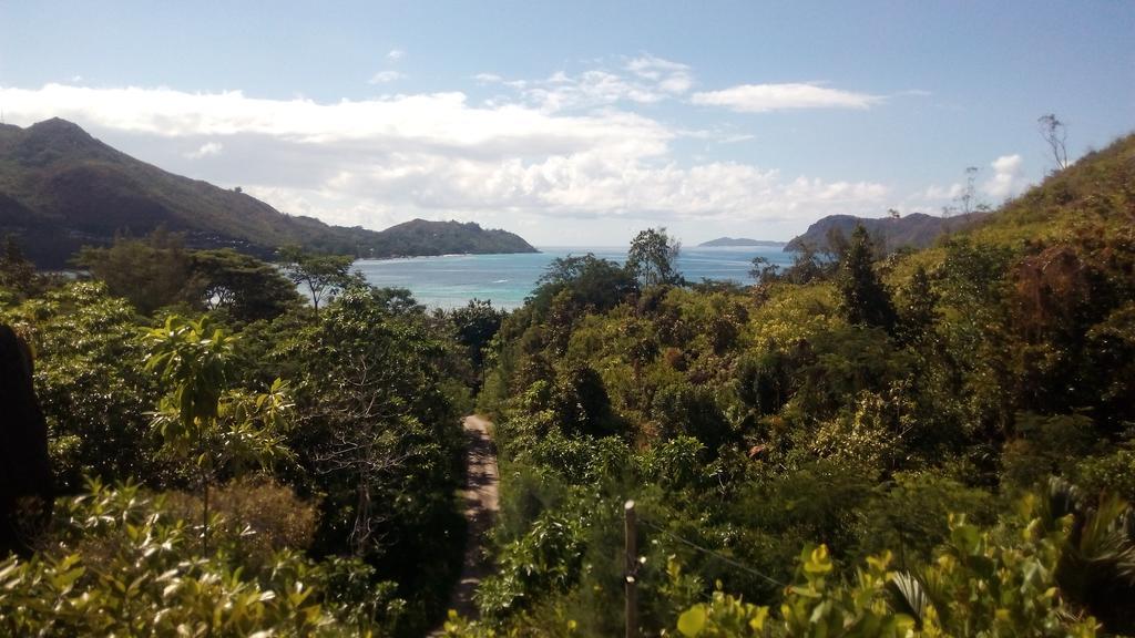 Mirella Villa Anse Volbert Village  Bagian luar foto